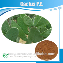 Fornecedor de fábrica de GMP Pure Natural 5: 1 10: 1 20: 1 Cactus Extract